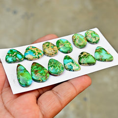 Sonoran Gold Mountain Turquoise Cabochon Loose Gemstones for Jewelry Making