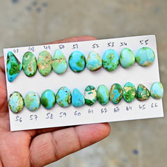 Sonoran Gold Mountain Turquoise Cabochon Natural Flatback Loose Gemstones for Jewelry Making