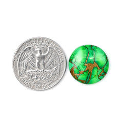 Natural Kingman Green Dahlia Turquoise | Round Smooth Cabochon for Jewelry