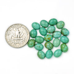 Kingman Turquoise Oval Cabochons | Blue Green Gemstone For Jewelry Making - 20 Pieces