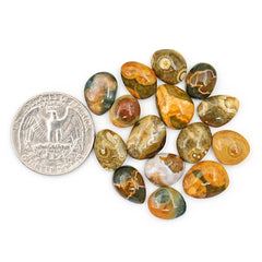 Ocean Jasper Smooth Cabochons | Freeform Shape Polished Stones for Jewelry Making - 15 Pieces