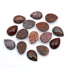 Pear Cut Fossilized Dinosaur Bone Cabochon | Ancient Gemstone For Jewelry Making - 15 Pieces