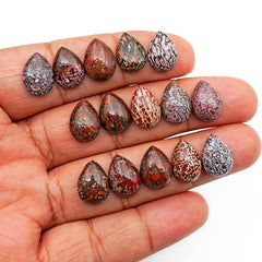 Pear Cut Fossilized Dinosaur Bone Cabochon | Ancient Gemstone For Jewelry Making - 15 Pieces