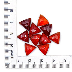 Hessonite Garnet Triangle Rose Cut Cabochons | Fiery Cinnamon Gemstone for Jewelry Making - 10 Pieces