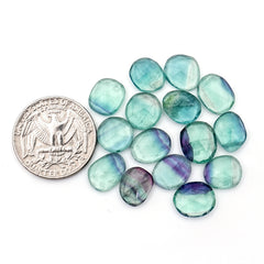 Natural Fluorite Smooth Rose Cut Gemstones | Freeform Rose Cut for Jewelry Making - 15 Pieces