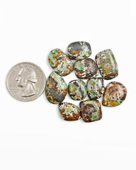 Nevada Turquoise Freeform Cabochons | Natural Southwest Gemstones for Jewelry - 10 Pieces