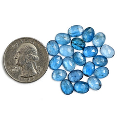 Aqua Blue Kyanite Rose Cut Cabochons | Sparkling Oval Gemstones for Fine Jewelry - 20 pieces