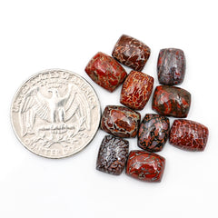 Dinosaur Bone Cushion Cabochons | Rare Fossil Gem with Natural Patterning - 10 Pieces