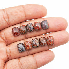 Dinosaur Bone Cushion Cabochons | Rare Fossil Gem with Natural Patterning - 10 Pieces