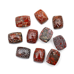 Dinosaur Bone Cushion Cabochons | Rare Fossil Gem with Natural Patterning - 10 Pieces