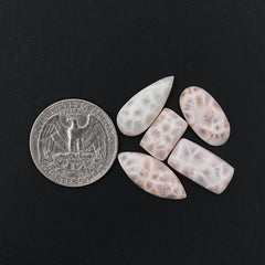 Natural Pink Larimar Smooth Cabochon | Mixed Shapes Gems With Soft Pink & Plum Tones - 5 Pices