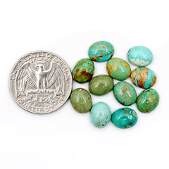 Kingman Mohave Turquoise Cabs | Freeform Arizona Gemstones for Jewelry Making - 11 Pieces