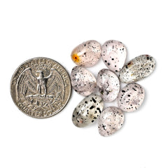 Pink Dot Rutile Smooth Cabochons | Rare Freeform Gems with Natural Inclusions - 8 pieces