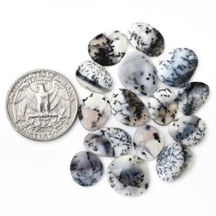 Winter Branches – Dendritic Agate Rosecut Cabochons | Freeform Cuts - 15 Pieces