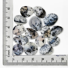Winter Branches – Dendritic Agate Rosecut Cabochons | Freeform Cuts - 15 Pieces