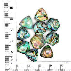 Abalone Shell Doublet Rosecut Cabochons | Mix-Shaped Gemstone for Statement Jewelry - 10 Pieces