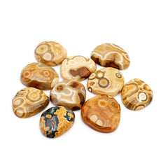 Ocean Jasper Freeform Rose Cut Cabochons | Earth-Toned Orbicular Wonders - 10 Pieces