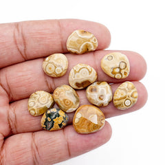 Ocean Jasper Freeform Rose Cut Cabochons | Earth-Toned Orbicular Wonders - 10 Pieces