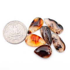 Pear Cut Montana Agate Smooth Cabochon | Natural Gemstone with Unique Inclusions - 6 Pieces