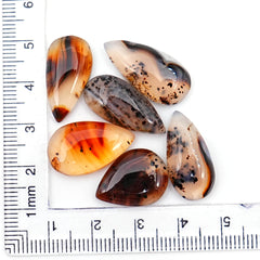 Pear Cut Montana Agate Smooth Cabochon | Natural Gemstone with Unique Inclusions - 6 Pieces