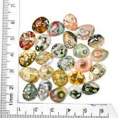 Ocean Jasper Smooth Cabochons | Multi Freeform Gemstones For Jewelry - 25 Pieces