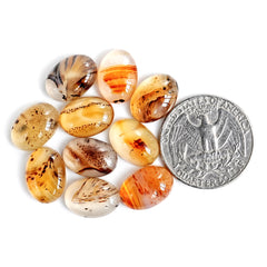 Montana Agate Cabochon | Natural Flatback Loose Gemstones for Jewelry Making - 10 Pieces
