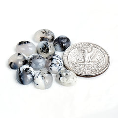 Dendritic Agate Cabochons | Natural Flatback Loose Gemstones For Jewelry Making - 10 Pieces