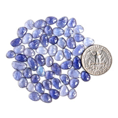 Iolite Rose Cut Cabochon | Natural Flatback Loose Gemstones For Jewelry Making - 55 Pieces