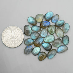 Labradorite Rose Cut Cabochon | Natural Flatback Loose Gemstones for Jewelry Making - 24 Pieces