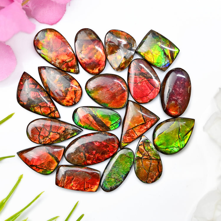 Ammolite