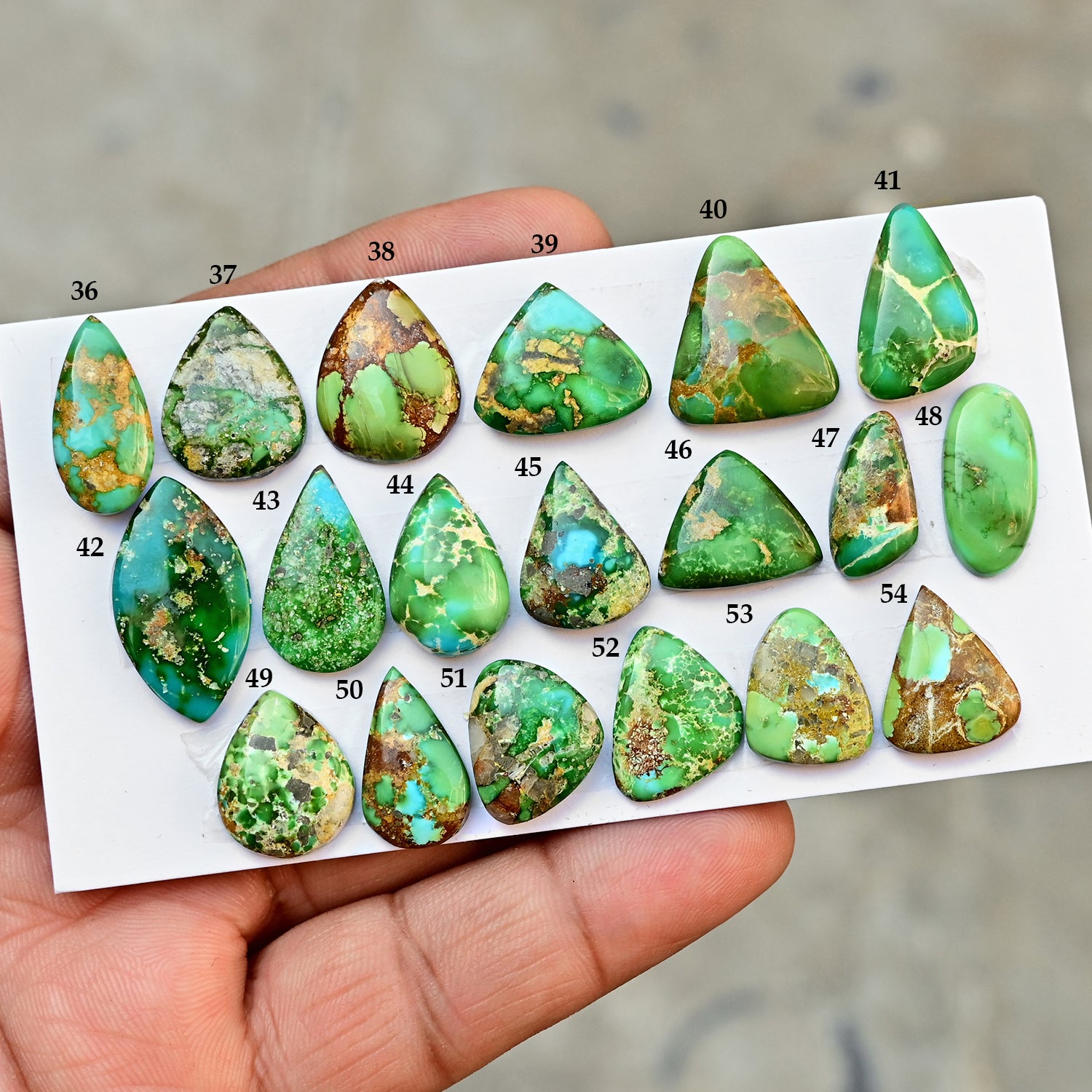 Sonoran Gold Mountain Turquoise Cabochon Loose Gemstones for Jewelry Making