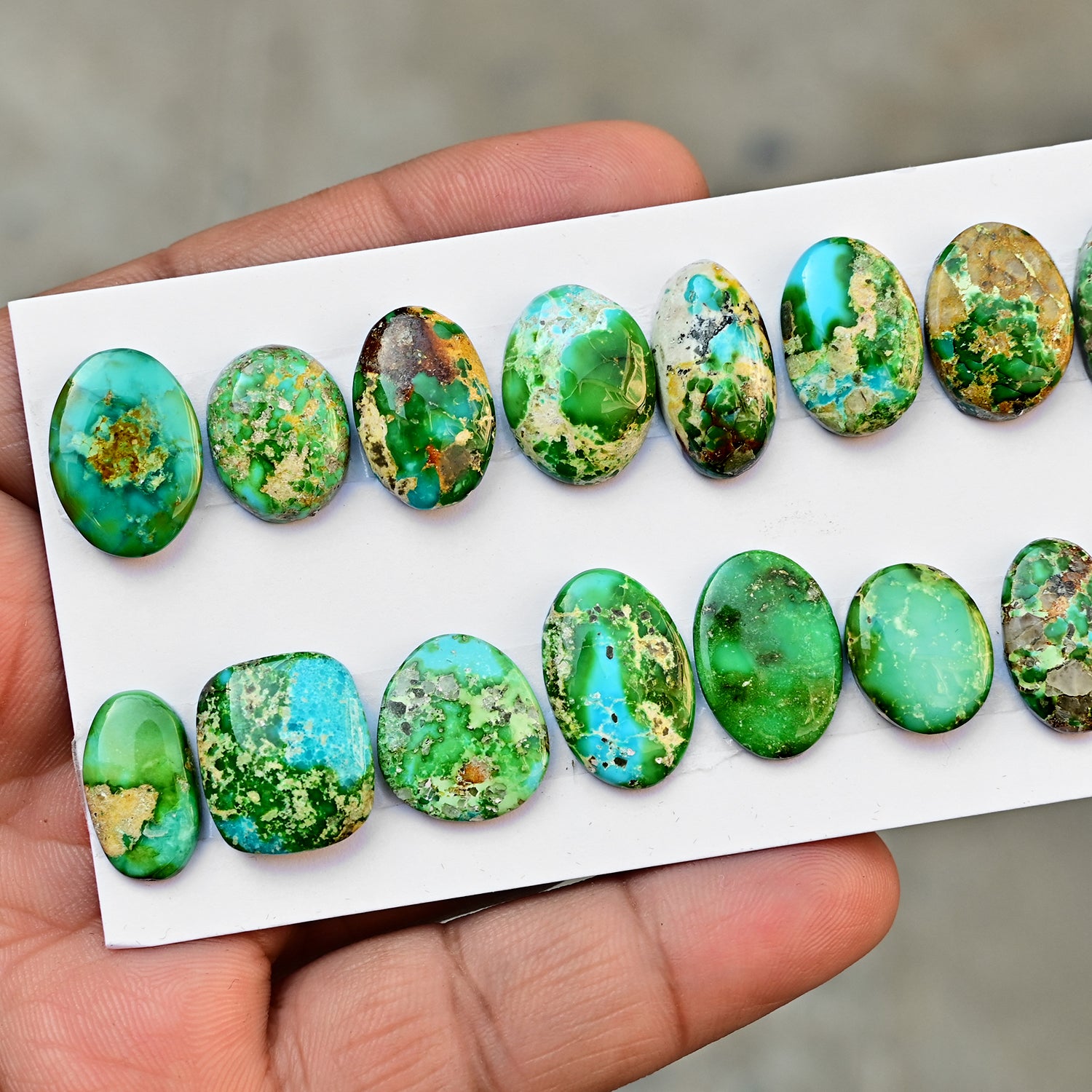 Sonoran Gold Mountain Turquoise Cabochon Loose Gemstones for Jewelry Making