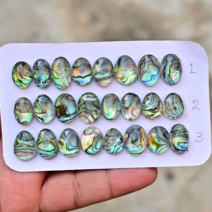 105,8 ct. Abalone-Muschel, glatter Cabochon, 13 x 18 mm – 12 x 16 mm, Edelsteinpaket der Güteklasse AA, insgesamt 10 Stück