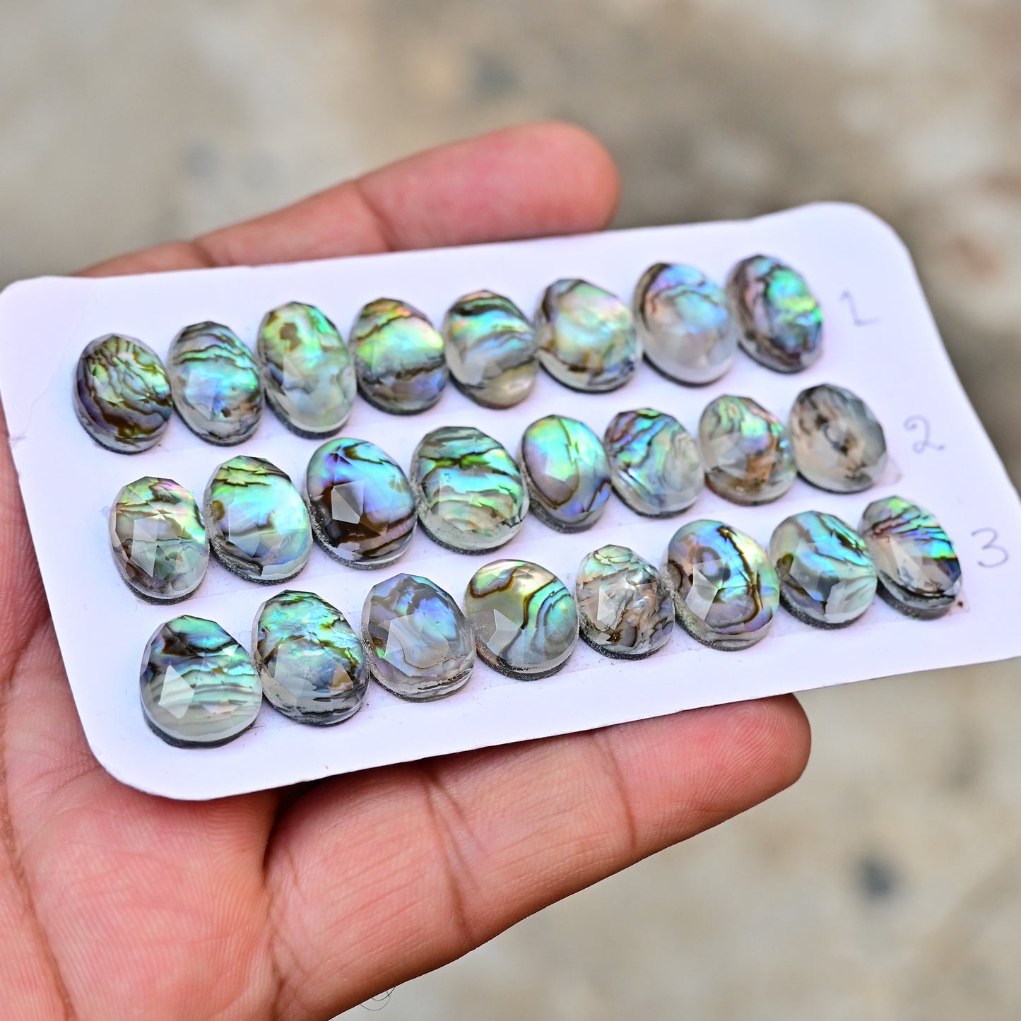 105,8 ct. Abalone-Muschel, glatter Cabochon, 13 x 18 mm – 12 x 16 mm, Edelsteinpaket der Güteklasse AA, insgesamt 10 Stück