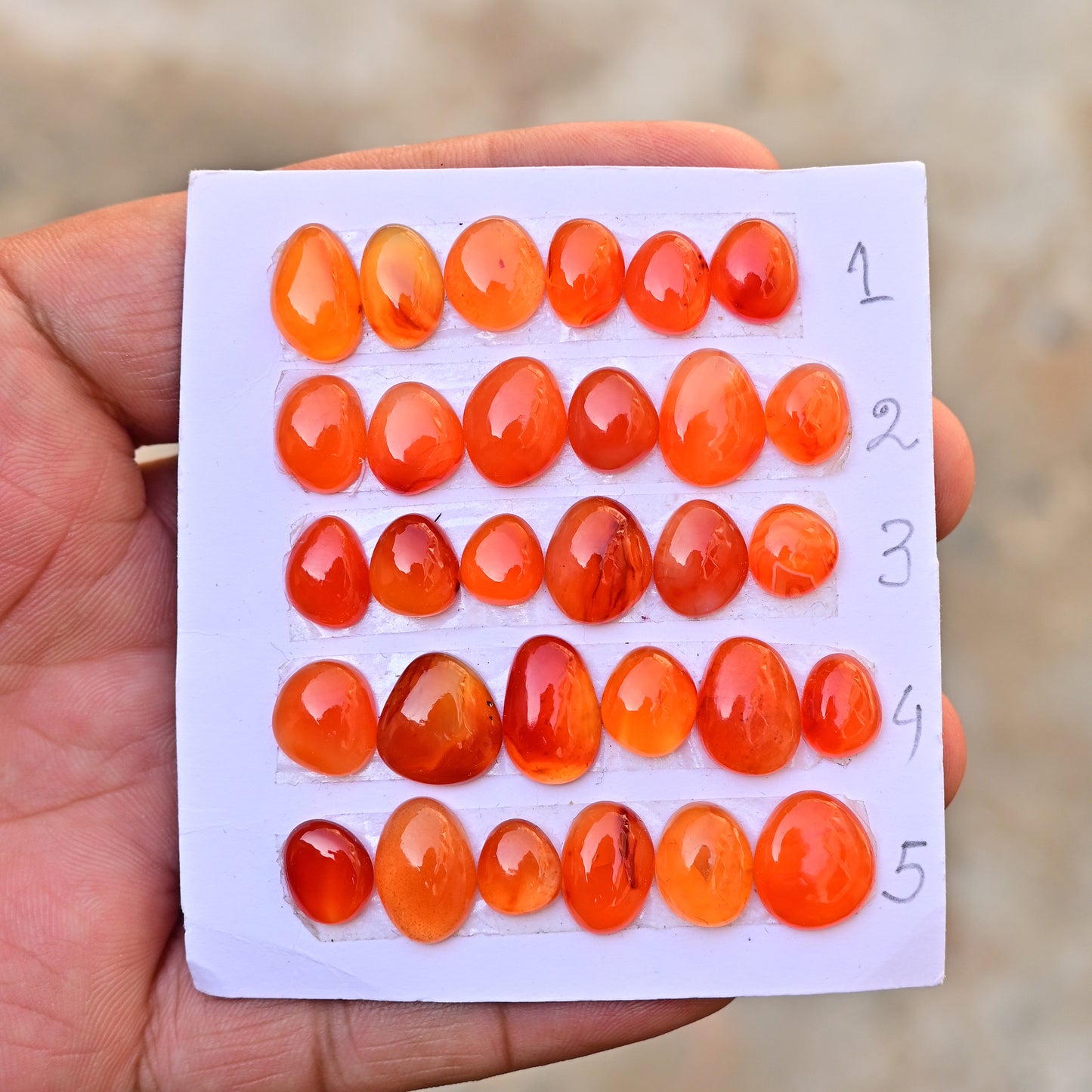 Carnelian Cabochons Freeform Shape  8mm-14mm AA Grade Gemstone Strip Set -Total 6 Pcs in one strip