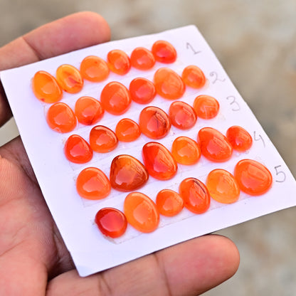 Carnelian Cabochons Freeform Shape  8mm-14mm AA Grade Gemstone Strip Set -Total 6 Pcs in one strip