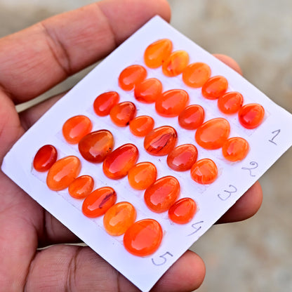 Carnelian Cabochons Freeform Shape  8mm-14mm AA Grade Gemstone Strip Set -Total 6 Pcs in one strip