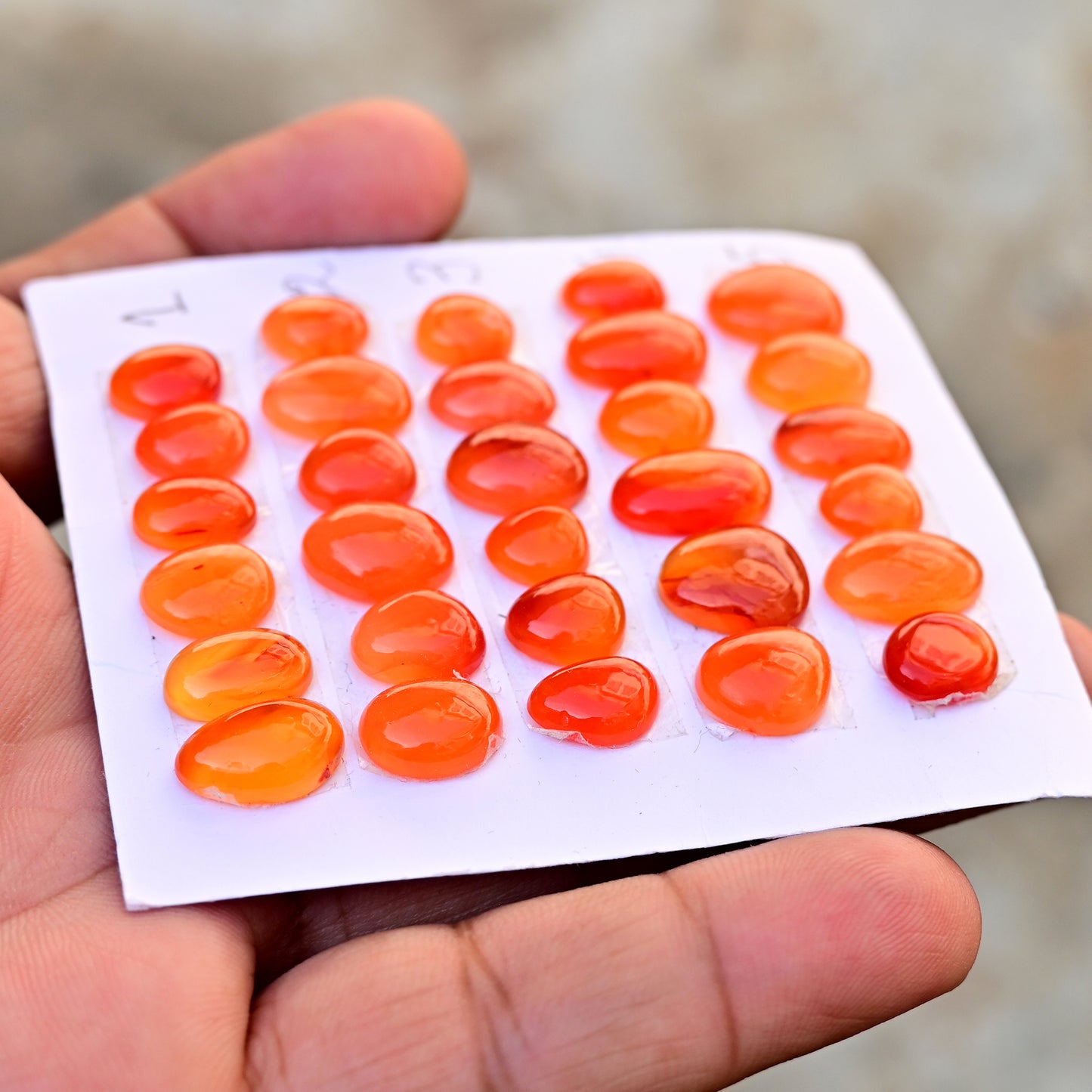 Carnelian Cabochons Freeform Shape  8mm-14mm AA Grade Gemstone Strip Set -Total 6 Pcs in one strip