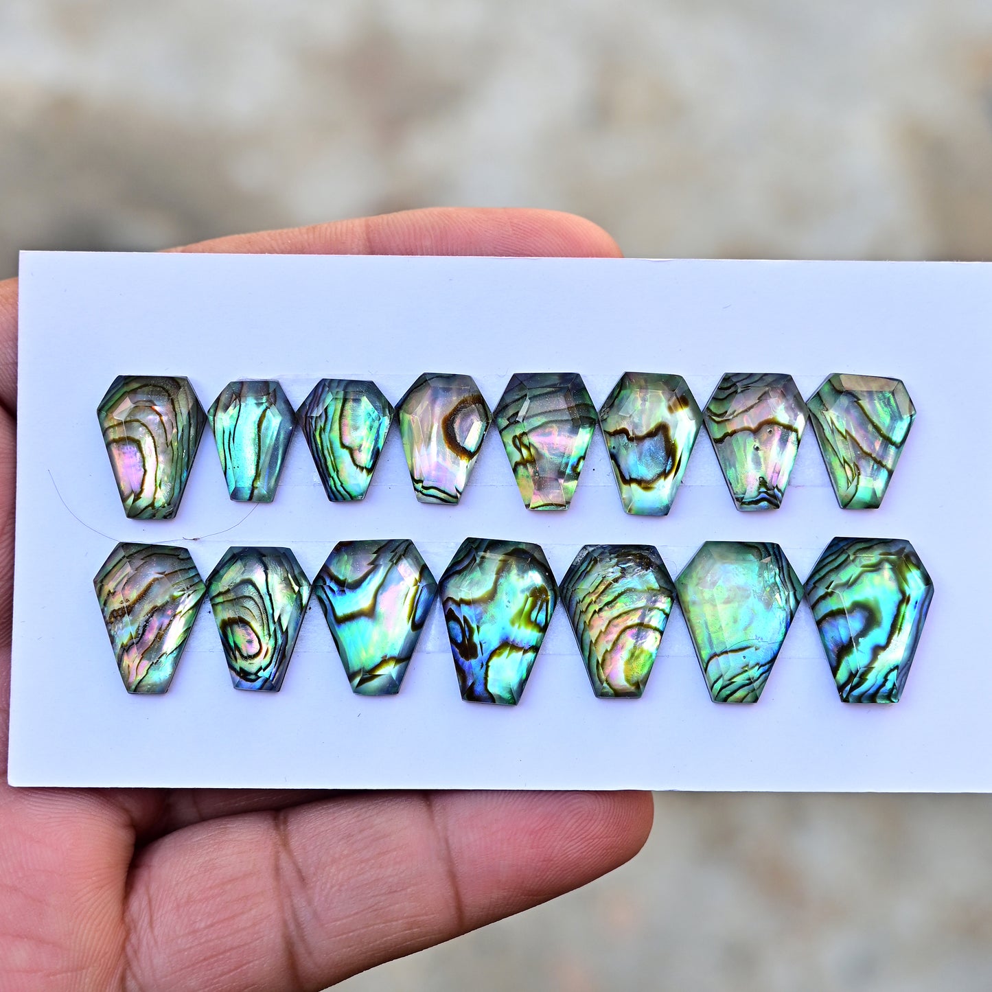 105,8 ct. Abalone-Muschel, glatter Cabochon, 13 x 18 mm – 12 x 16 mm, Edelsteinpaket der Güteklasse AA, insgesamt 10 Stück