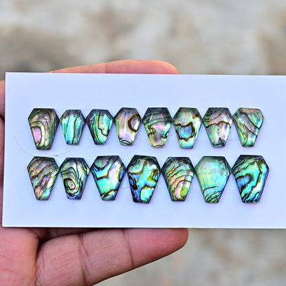 105,8 ct. Abalone-Muschel, glatter Cabochon, 13 x 18 mm – 12 x 16 mm, Edelsteinpaket der Güteklasse AA, insgesamt 10 Stück