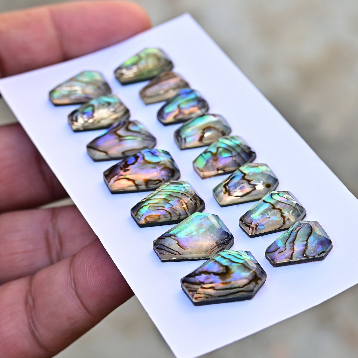 105,8 ct. Abalone-Muschel, glatter Cabochon, 13 x 18 mm – 12 x 16 mm, Edelsteinpaket der Güteklasse AA, insgesamt 10 Stück