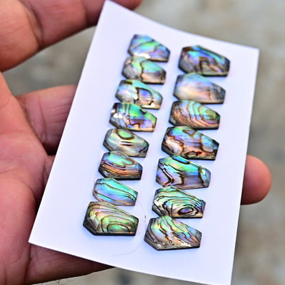 105,8 ct. Abalone-Muschel, glatter Cabochon, 13 x 18 mm – 12 x 16 mm, Edelsteinpaket der Güteklasse AA, insgesamt 10 Stück