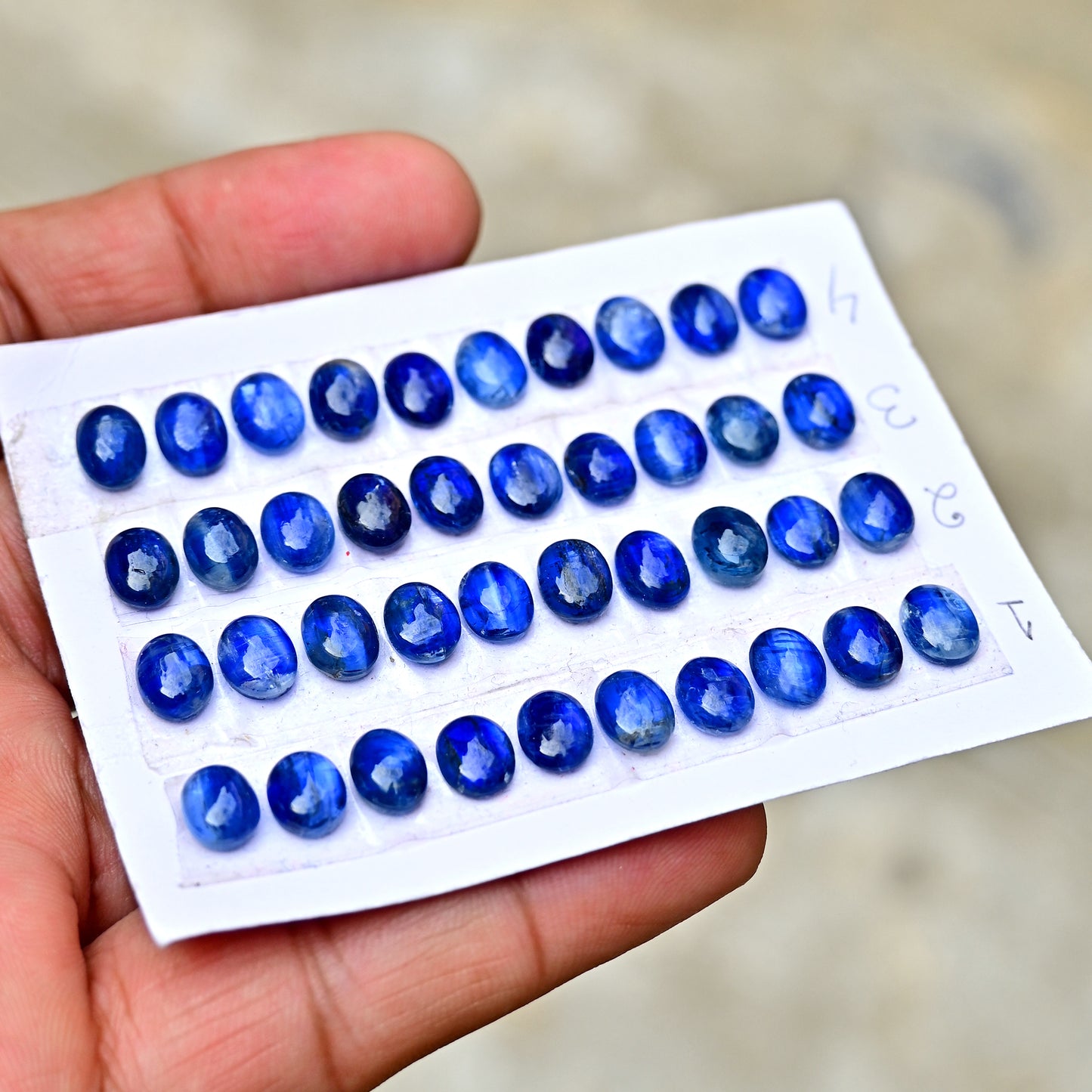 25,9 ct. Blauer Kyanit im Rosenschliff, Cabochon, gemischte Form, 10 x 12 mm – 8 x 16 mm, Edelsteinpaket der Güteklasse AA, insgesamt 5 Stück