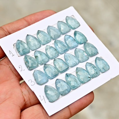 Aquamarine Kyanite 9x13mm Rose Cut Triangle Shape AA Grade Gemstone Strip - Total 6 Pcs in one Strip