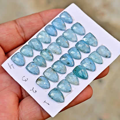 Aquamarine Kyanite 9x13mm,8x12mm Rose Cut Triangle Shape AA Grade Gemstone Strip - Total 6 Pcs in one Strip