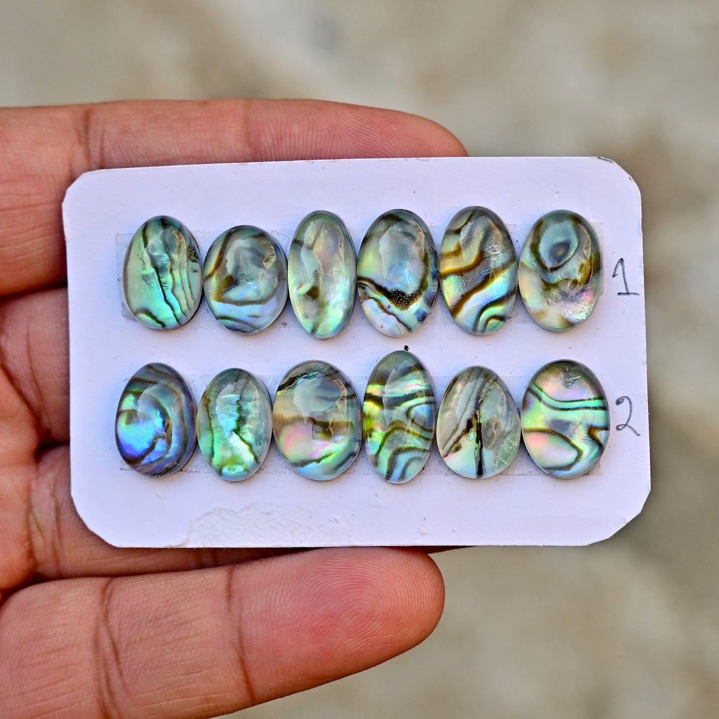 105,8 ct. Abalone-Muschel, glatter Cabochon, 13 x 18 mm – 12 x 16 mm, Edelsteinpaket der Güteklasse AA, insgesamt 10 Stück