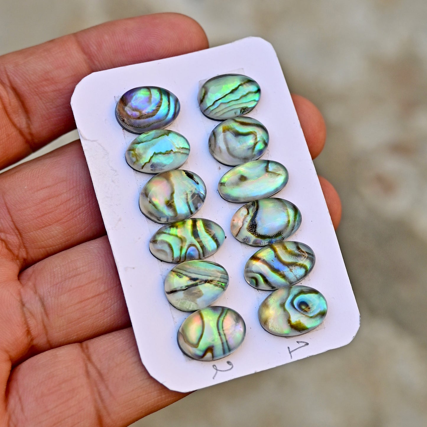 105,8 ct. Abalone-Muschel, glatter Cabochon, 13 x 18 mm – 12 x 16 mm, Edelsteinpaket der Güteklasse AA, insgesamt 10 Stück