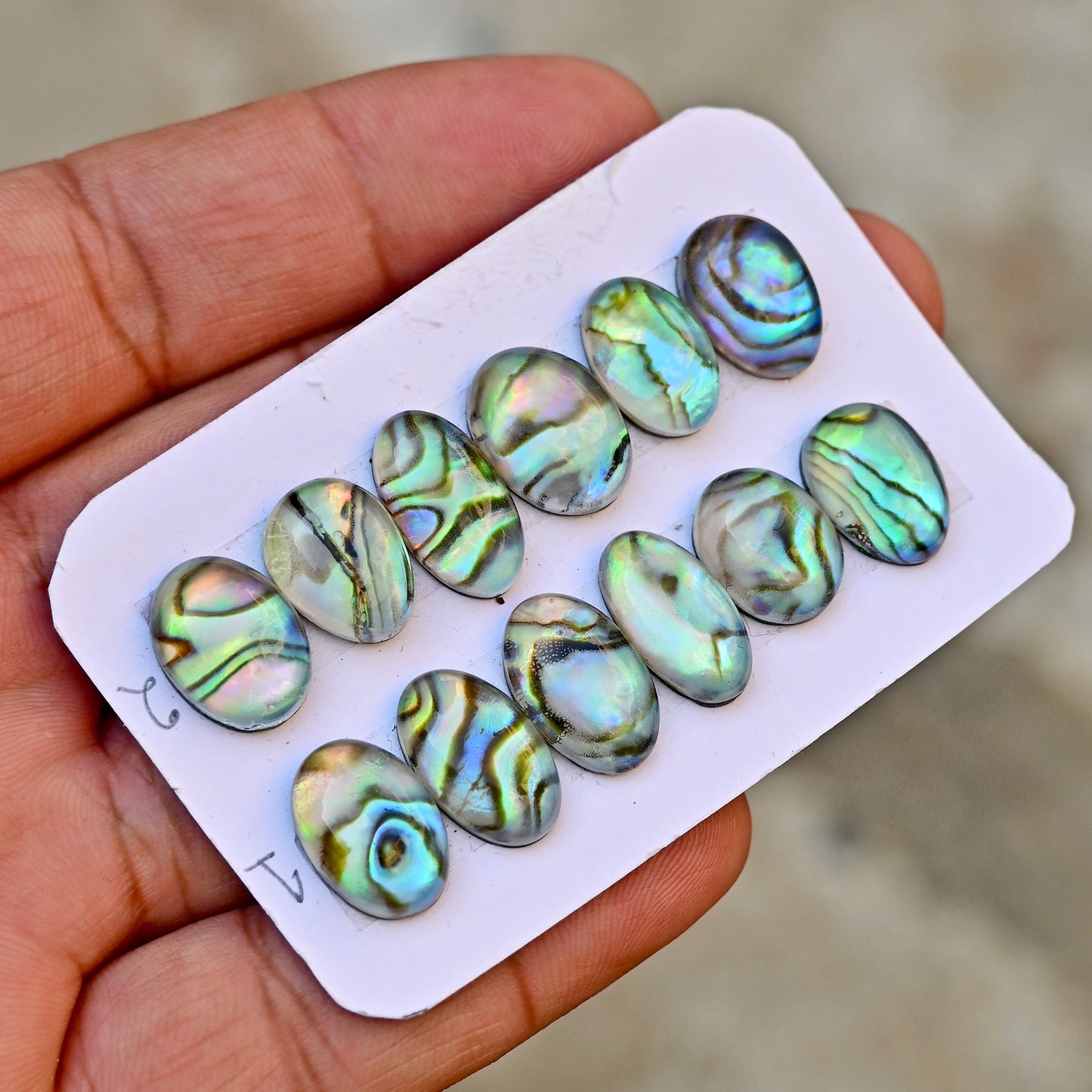 105,8 ct. Abalone-Muschel, glatter Cabochon, 13 x 18 mm – 12 x 16 mm, Edelsteinpaket der Güteklasse AA, insgesamt 10 Stück