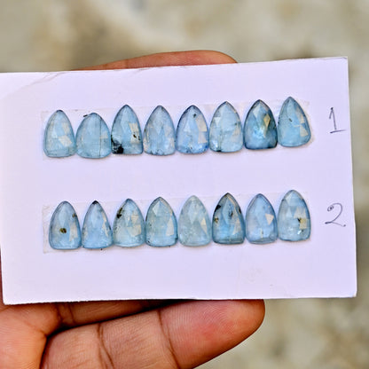 Aquamarine Kyanite 8x12mm Rose Cut Triangle Shape AA Grade Gemstone Strip - Total 8 Pcs in one Strip