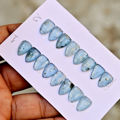 Aquamarine Kyanite 8x12mm Rose Cut Triangle Shape AA Grade Gemstone Strip - Total 8 Pcs in one Strip